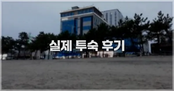💬 실제 투숙 후기
