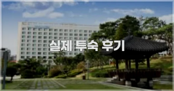 💬 실제 투숙 후기
