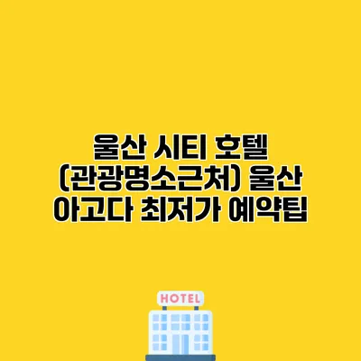 울산 시티 호텔 (관광명소근처) 울산 아고다 최저가 예약팁